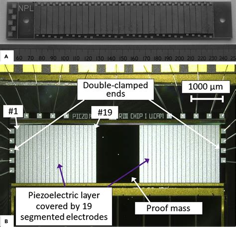 High Performance Piezoelectric Energy Harvesters And Their Applications