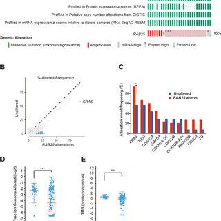 Rab Genomic Alterations In Pancreatic Cancer A Data Showing