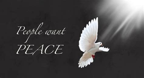 Голубь мира :: Behance