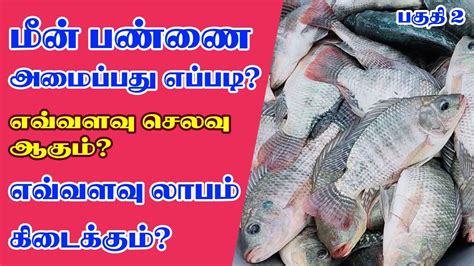 மீன் பண்ணை அமைப்பது எப்படி செலவு பராமரிப்பு லாபம் என்ன Fish