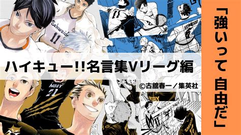 【強いって自由だ】 Vリーグ編より名言24選「ハイキュー」名言集⑮（43～45巻）