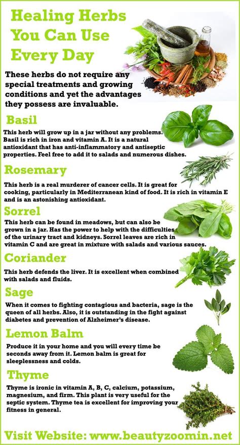 Healing Herbs You Can Use Every Day Easy To Grow Healing Herbs Herbs