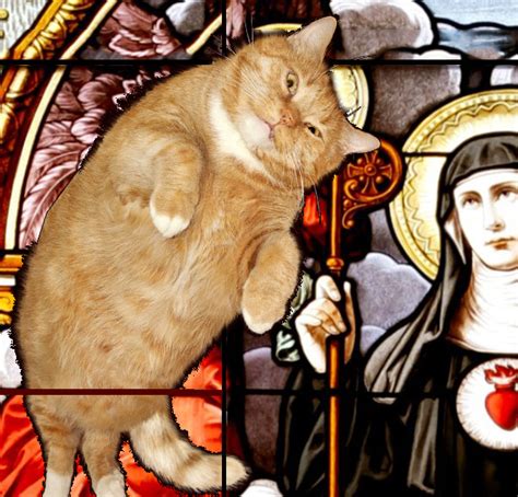 The Story Of Stgertrude Patron Saint Of Cats