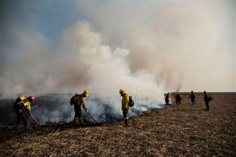 Reporte Oficial Por Los Incendios En Argentina Cinco Provincias