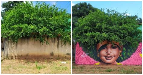 This Talented Brazilian Artist Uses Nature To Create Incredible