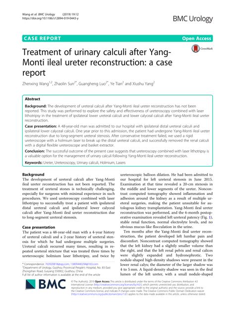 Pdf Treatment Of Urinary Calculi After Yang Monti Ileal Ureter