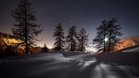 Download Starry Snow Night Professional Desktop Wallpaper | Wallpapers.com