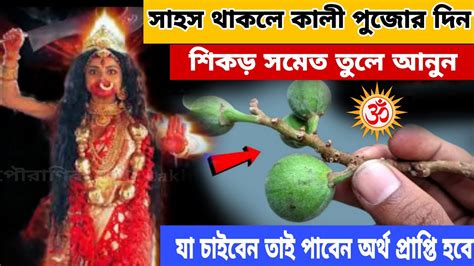 কালীপুজোর দিন সাহস থাকলে এই শিকড় সমেত তুলে আনুন যা চাইবেন তাই পাবেন