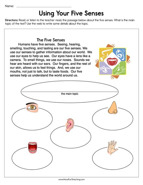 Using 5 Senses In Writing Worksheet