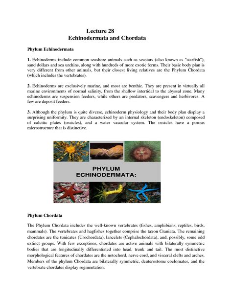 Solution Biology Echinodermata And Chordata Detailed Notes Studypool