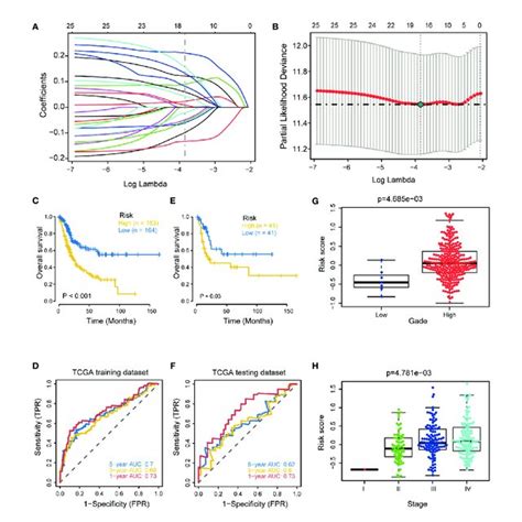 Development And Internal Validation Of A Hypoxia Risk Score In The