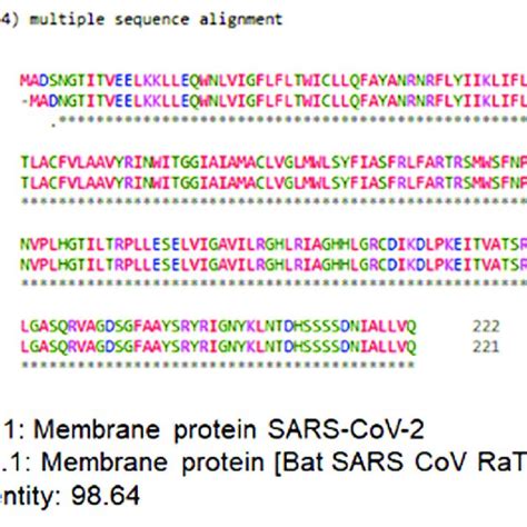 The Protein Sequence Of The M Glycoprotein Of Sars Cov The Sequence