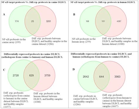 Venn Diagrams Comparing The Nf B Target Genes In The Differentially