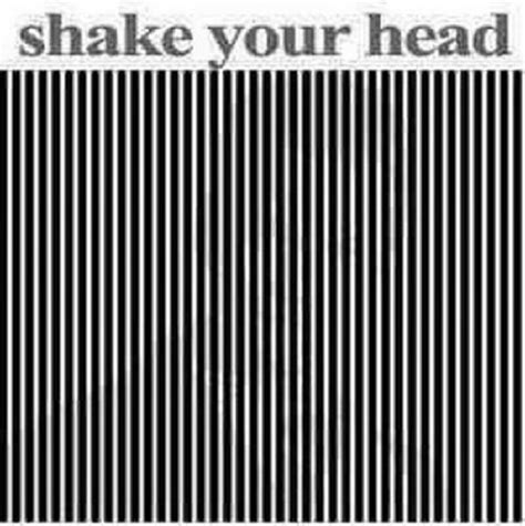 Shake Your Head, Who's in the Pic?