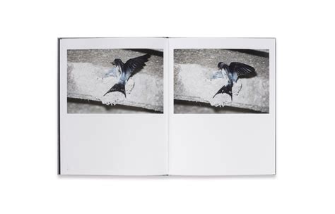 Rinko Kawauchi Des Oiseauxon Birds