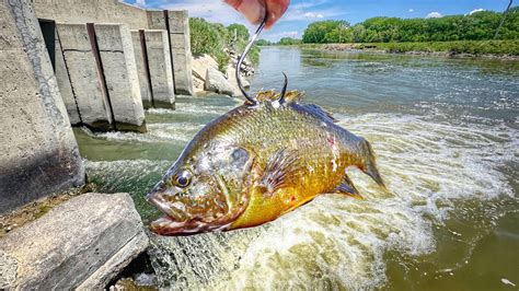 Dropping BIG LIVE BAITS Below A RAGING TUNNEL Flooded Canal Fishing