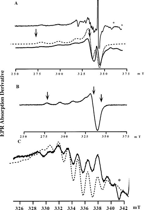 X Band Epr Spectra Of The Cupric Site Of Pmmo In Membrane Fragments And