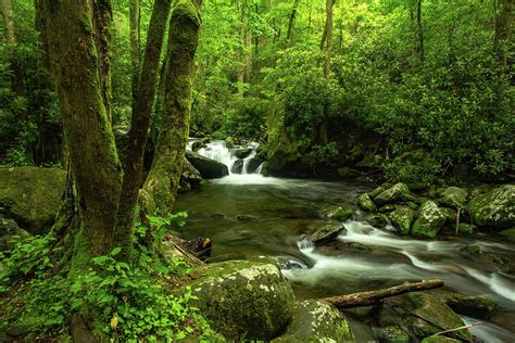 Roaring Fork Waterfall in Smoky Mountains Photograph by Carol Mellema ...