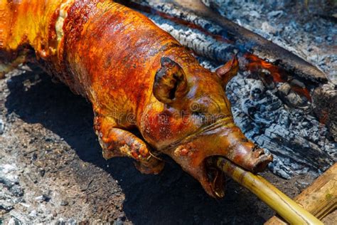 Suckling Pig Roasted On The Fire Filipino Food Lechon Stock Photo