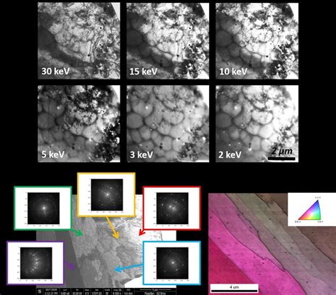 The Slm L Thin Foil Specimen Bright Field Stem Micrographs Of The