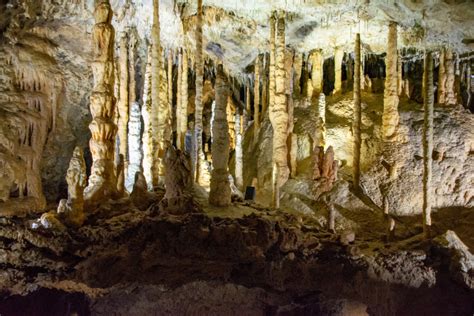 Le Domaine Des Grottes De Han Une Immersion Nature En Belgique Un