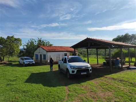 Suspeitos Aplicavam Golpes Em Produtores Rurais Usando Venda De Gado