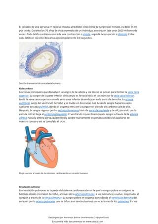 Aparato Circulatorio Pdf
