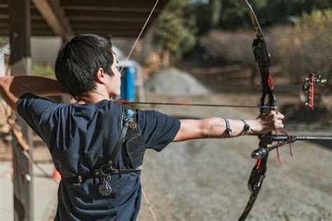 Compound Bow Arrows Guide – Carbon Arrow Selection & Research