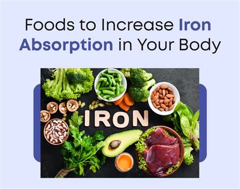 Foods to Increase Iron Absorption in Your Body