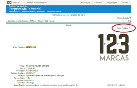 Passo A Passo Como Monitorar O Processo De Marca No Inpi