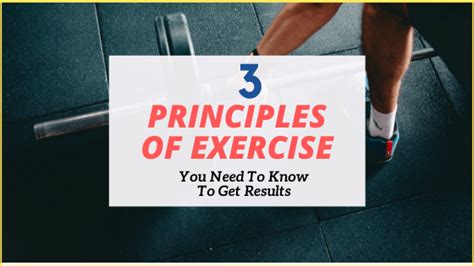 The Only 3 Principles Of Exercises You Need To Maximize Results The White Coat Trainer