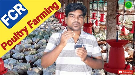 Poultry Farming In Odishawhat Is Fcr How To Calculate Fcrfeed