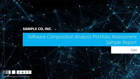 Software Composition Analysis Portfolio Assessment Sample Report