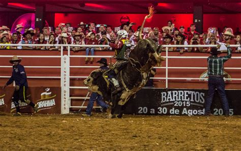 Fotos Confira Noite Do Rodeio Internacional Em Barretos Fotos Em