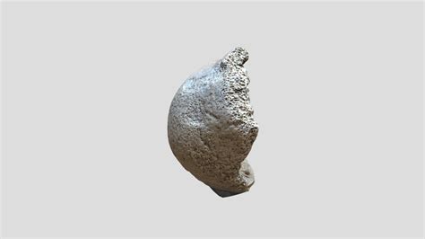 Distal Epiphysis - 3D model by Digital Archaeology Laboratory ...