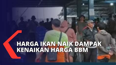 Dampak Kenaikan Harga BBM Harga Ikan Di Samarinda Alami Kenaikan