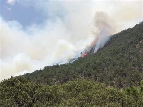 Surgen Cinco Nuevos Incendios Forestales En El Sur De Nuevo Le N La