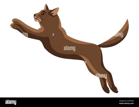 Cat Jumping Stock Vector Images Alamy