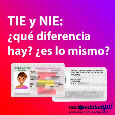 TIE y NIE no es lo mismo conoce aquí las diferencias