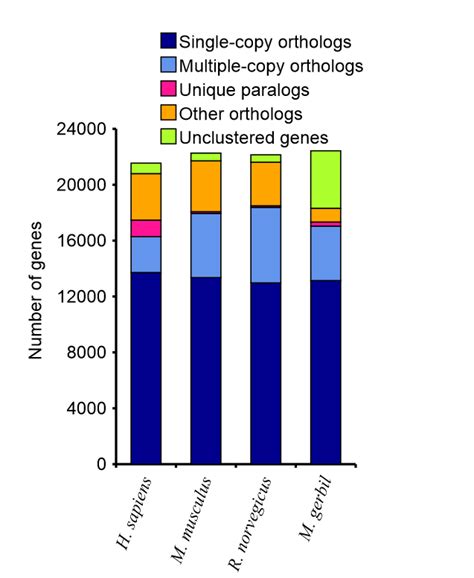 Gene Family Construction. The number of genes is similar between ...