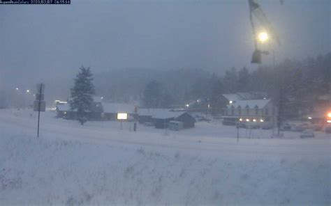 Hwy 285 Road Conditions My Mountain Town Conifer Pine Evergreen