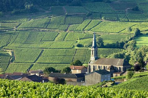 Rhone Valley Wine Tour 2023 France