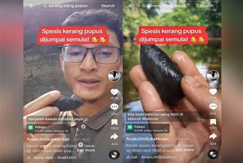 Pelajar PhD Dakwa Temui Spesies Kerang Pupus 40 Tahun Lalu