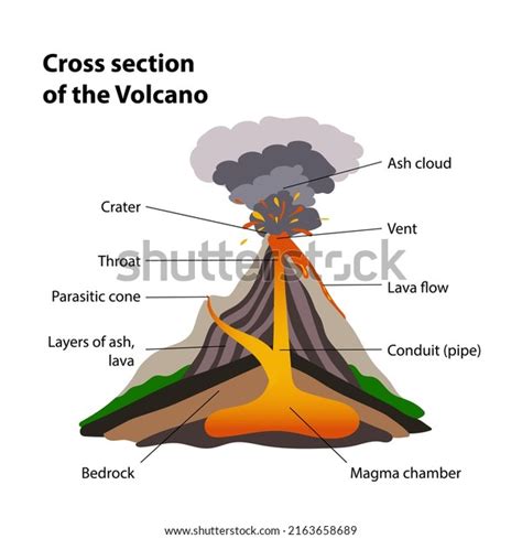 Cross Section Volcano Stock Vector (Royalty Free) 2163658689 | Shutterstock