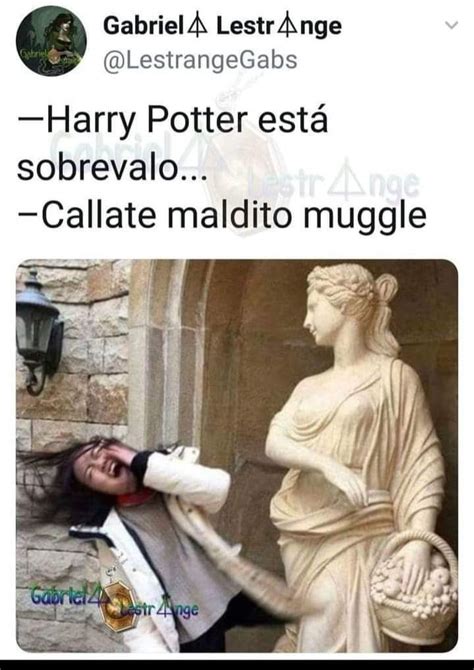 Memes de Harry Potter Harry Potter Español Amino