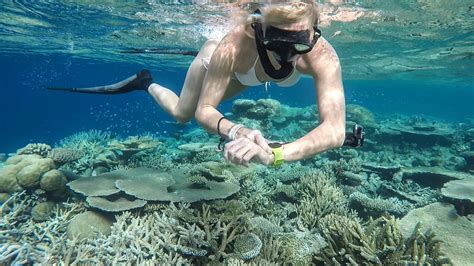 #Snorkeling in the Maldives is spectacular. Here the @scubadivergirls ...