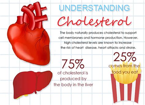 Ideal HDL and LDL Cholesterol Levels – Scary Facts & Simple Solutions