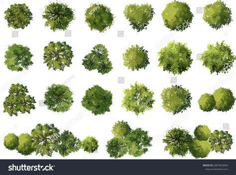 Vector Abstract Watercolor Tree Top View Stock Vector Royalty Free