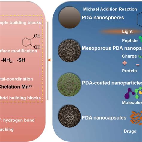 Synthesis And Main Features Of Pda Schematic Illustration And