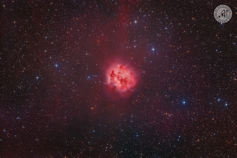 Cocoon Nebula Apod By Astronomia